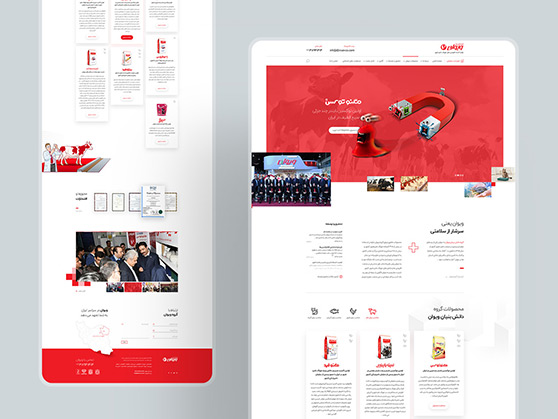 طراحی گرافیک وب، طراحی رابط کاربری و تجربی وب سایت ویوان، تولیدکننده افزودنی‌های خوراک دام و طیور